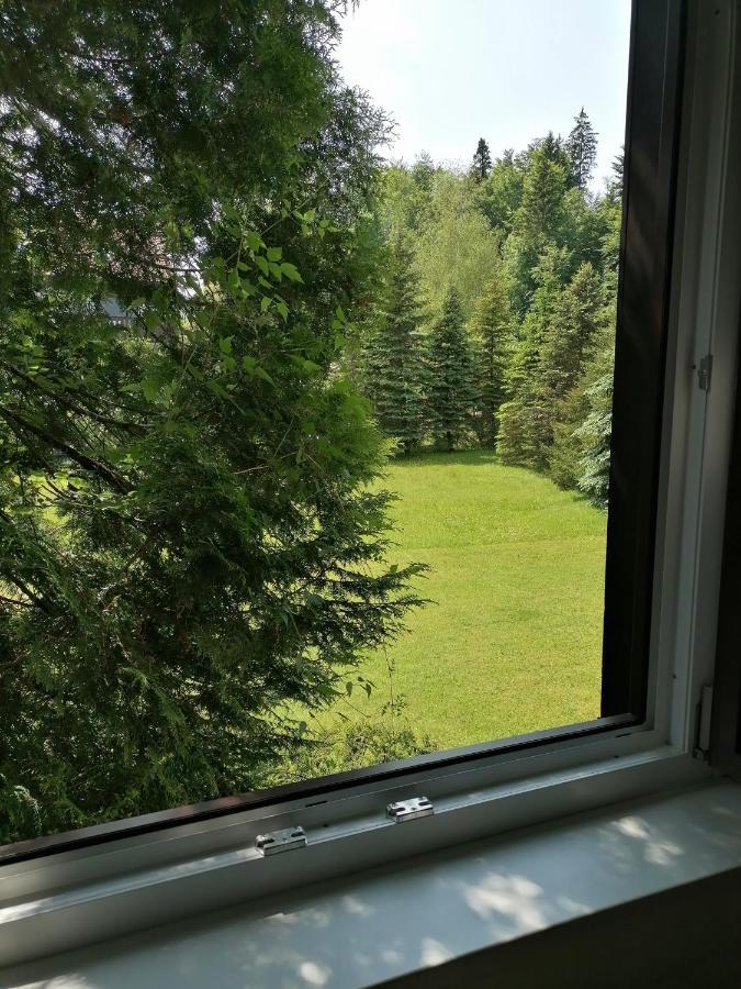 Haus Aschau Apartment Bad Ischl Ngoại thất bức ảnh